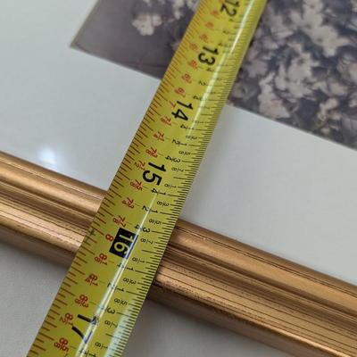 Approx 20" x 16 1/2" Nature Photos
