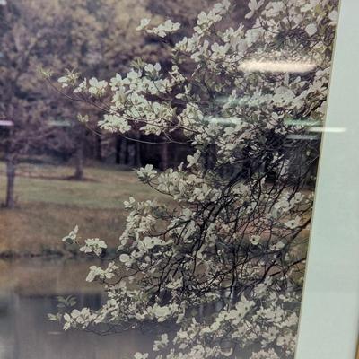 Approx 20" x 16 1/2" Nature Photos