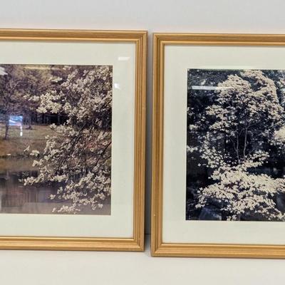 Approx 20" x 16 1/2" Nature Photos