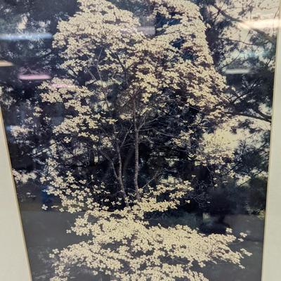 Approx 20" x 16 1/2" Nature Photos