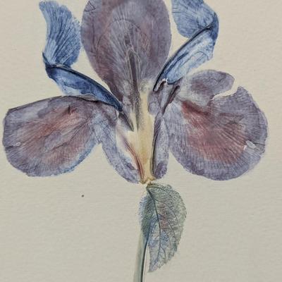 Signed Hand Painted Flower