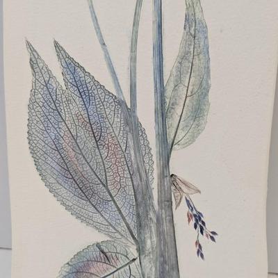Signed Hand Painted Flower