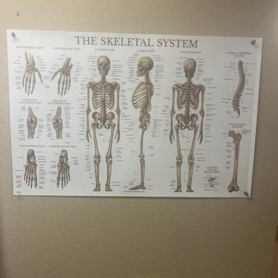 Wall poster