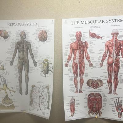 Wall posters