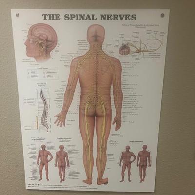 Wall poster