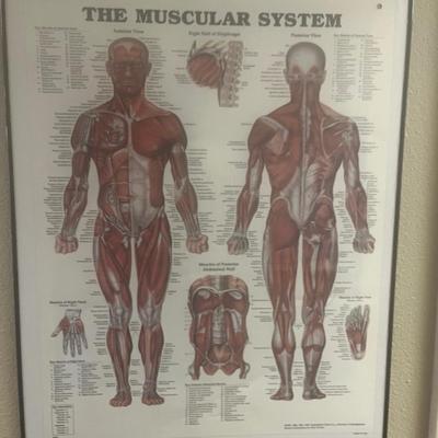 Wall poster