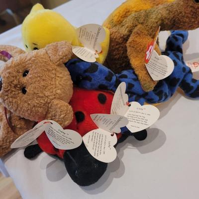 Ty Beanie Babies Assortment (LR-EL)