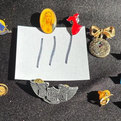 Pin Lot