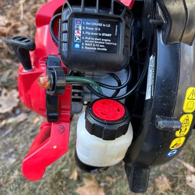 STIHL BG55 AND CRAFTSMAN LEAF BLOWERS “FOR PARTS ONLY” WITH GAS CONTAINER