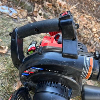STIHL BG55 AND CRAFTSMAN LEAF BLOWERS “FOR PARTS ONLY” WITH GAS CONTAINER