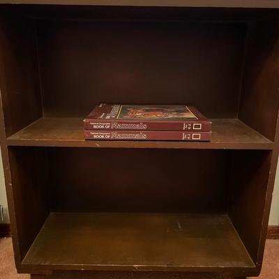 Small vintage book shelf