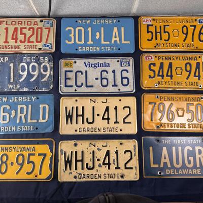 Vintage License Plates - 32 + Novelties
