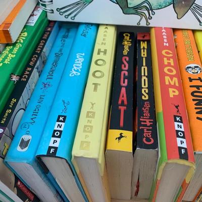 Children’s Book Lot