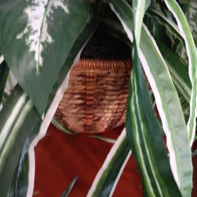 WOODEN SLAT SERVING BLOCK, 4 SOUP BOWLS AND A FAUX PLANT IN HANGING WICKER BASKET