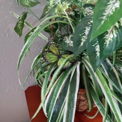WOODEN SLAT SERVING BLOCK, 4 SOUP BOWLS AND A FAUX PLANT IN HANGING WICKER BASKET