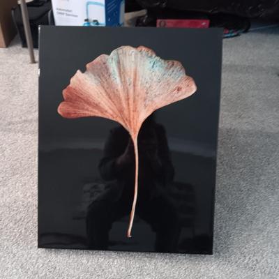METAL LEAF WALL ART AND A CANVAS PICTURE