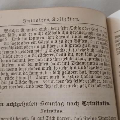 Two antique German bibles - 1899 - 1906 and a more modern Holy Bible