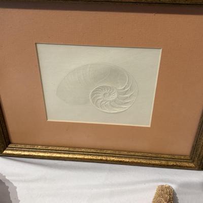 Assorted Sea Shell Decor Items (PB-ES)