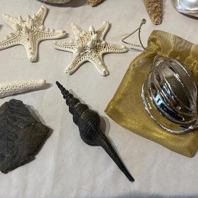 Assorted Sea Shell Decor Items (PB-ES)