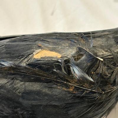 Halloween Decor Items (PB-ES)