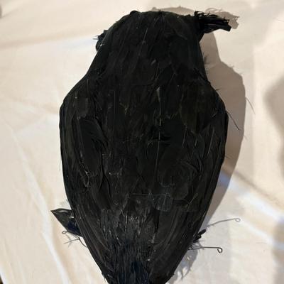Halloween Decor Items (PB-ES)