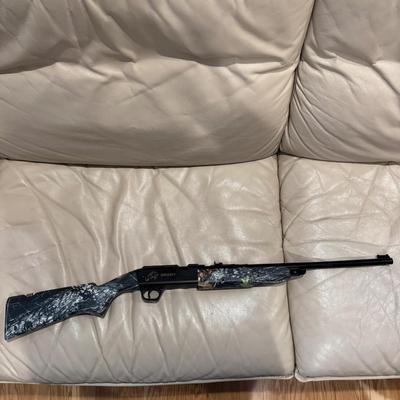 1264 Grizzly BB Gun
