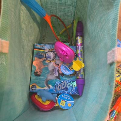 Pool bag