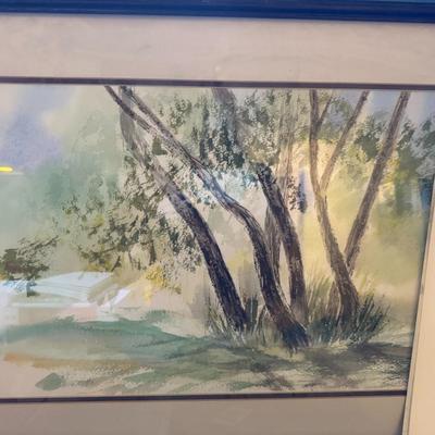 Willow Trees