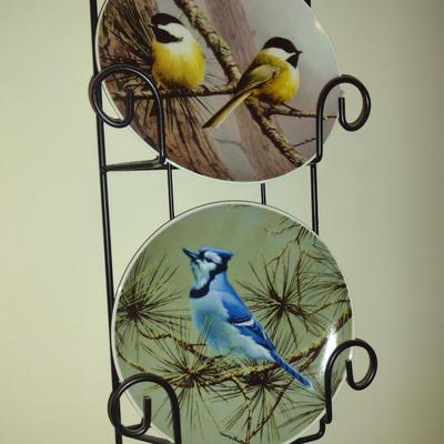 Collection of Tone World Hautman Brothers Bird Design Plates with Metal Wall Hanging Rack