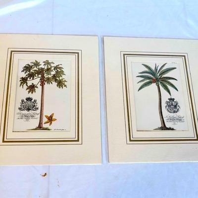Tropical Themed Lamp & Home Decor Items (DR-ES)