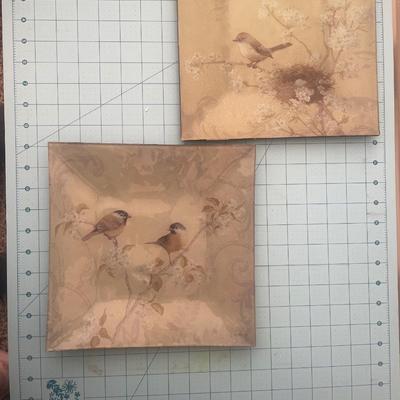 Glass bird decorative plates by McGannon