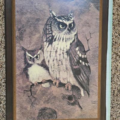 Owl art