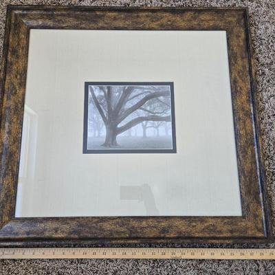 5 Courtney ford art