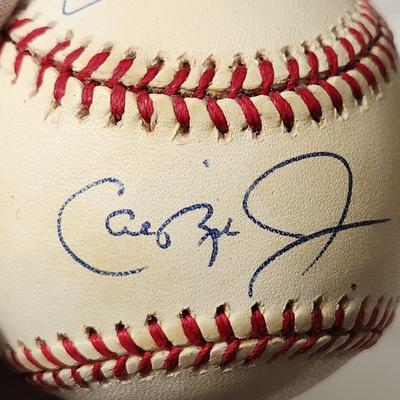 Baltimore Orioles Ripken Family Signed Baseball In Collectors Case Cal Sr. Cal Jr. Billy