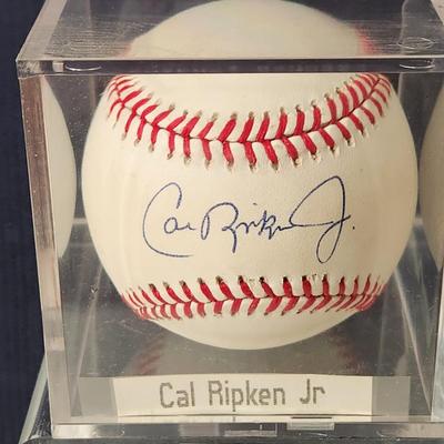 Cal Ripken Jr. Signed Baseball In Collectors Case