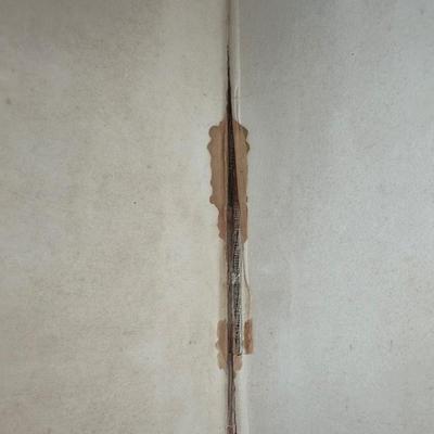 1913 Rand McNally State & County Survey and Atlas