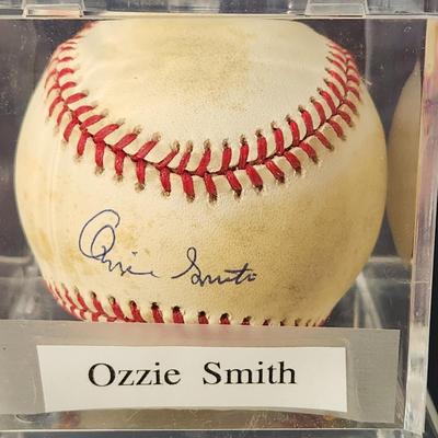 Ozzie Smith Signed Baseball In Collectors Case
