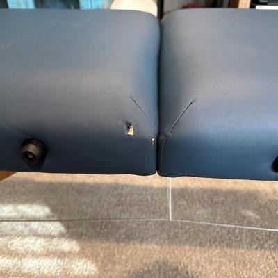SALONITURE PORTABLE MASSAGE TABLE WITH NYLON CARRY CASE