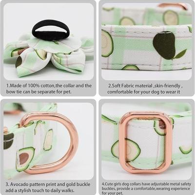 Size Medium Green & White Stripe Avocado Printed Dog Collar w/Matching Leash, Bowtie & Flower Rose Gold Hardware