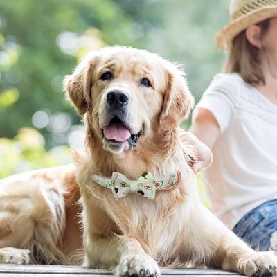 Size Medium Green & White Stripe Avocado Printed Dog Collar w/Matching Leash, Bowtie & Flower Rose Gold Hardware