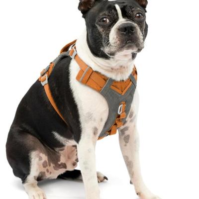 Kurgo Journey Air Harness, Orange, XS