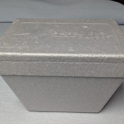 Pair Of Oberweis Dairy Styro Cooler Ice Chest Milk Delivery Vintage 16x25x16 Styrofoam (BR2)