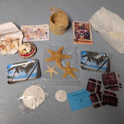 Bahama Souvenirs Trays Shells Starfish (BR2)