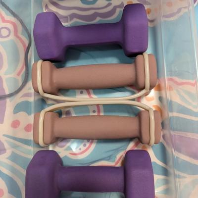 Fitness Hand Weights (BR3)