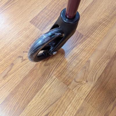 New Rolling Walker (BR3)