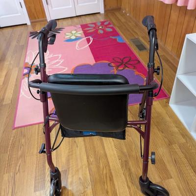 New Rolling Walker (BR3)