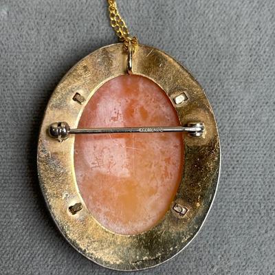 Vintage Carved shell Cameo Pin/Pendant Necklace