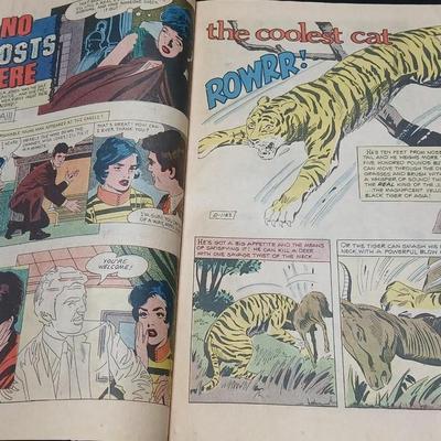 Vintage comic books - Ghosts- Phantom - Ghost Manor - all Charlton Comics