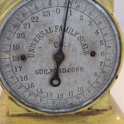 Vintage Universal Family Scale- 24 Pound Capacity