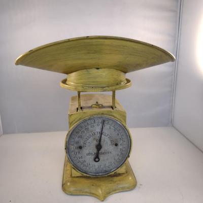 Vintage Universal Family Scale- 24 Pound Capacity